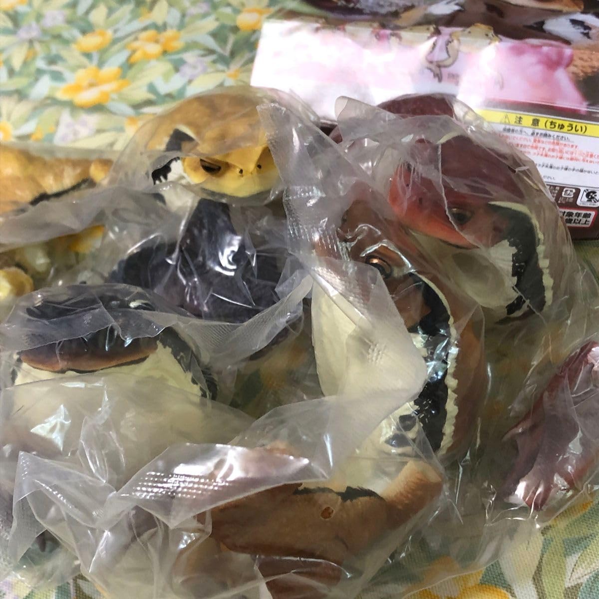 Amazon.co.jp: ネイチャーテクニカラー大きなヒキガエル全4種SET